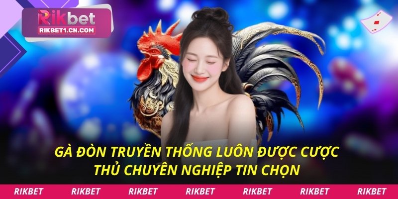 Gà đòn truyền thống luôn được cược thủ chuyên nghiệp tin chọn