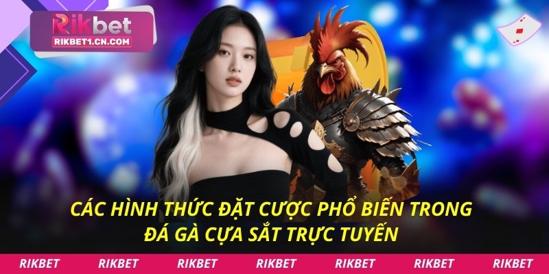 Các hình thức đặt cược phổ biến trong đá gà cựa sắt trực tuyến