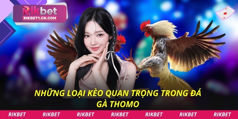 Những loại kèo quan trọng trong đá gà Thomo