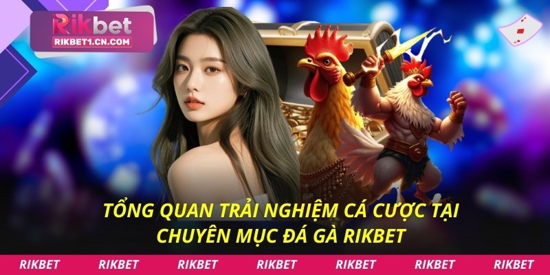 Tổng quan trải nghiệm cá cược tại chuyên mục đá gà Rikbet